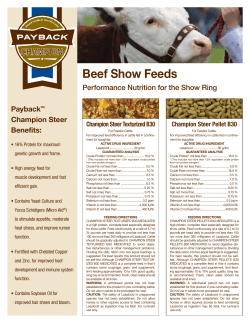 Beef Show Feeds