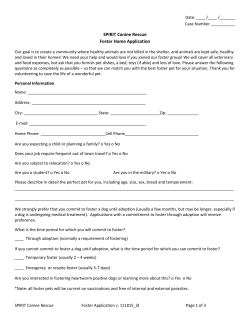 SPIRIT Canine Rescue Foster Home Application