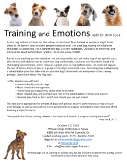Training and Emotions with Dr. Amy Cook