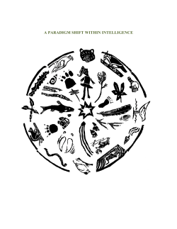 a paradigm shift within intelligence