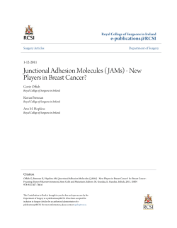 Junctional Adhesion Molecules (JAMs)