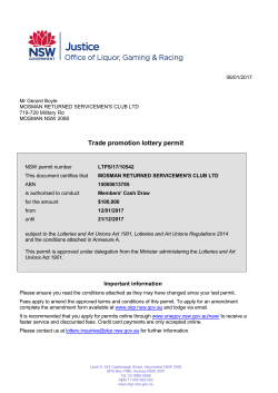 Trade promotion lottery permit