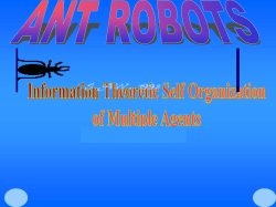 Ant Robots Seminar