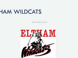 eltham wildcats