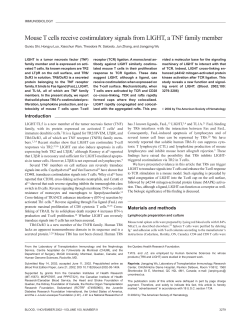 Mouse T cells receive costimulatory signals from