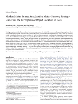 Motion Makes Sense: An Adaptive Motor