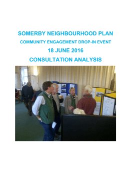 Neighbourhood Plan Consultation Analysis