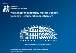 Workshop on Electricity Market Design: Capacity Remuneration