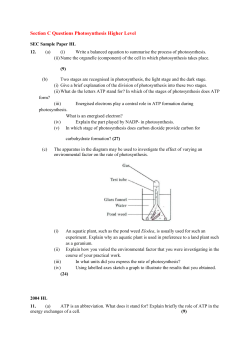Section C Questions Photosynthesis Higher Level