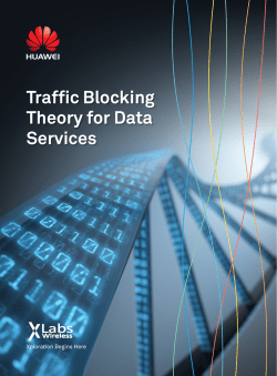 Traffic Blocking Theory for Data Services