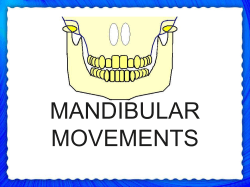 Anterior Opening Border Movements