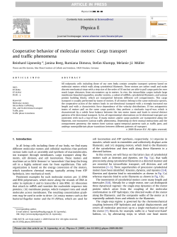 Cooperative behavior of molecular motors Cargo transport and