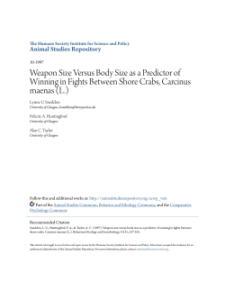 Weapon Size Versus Body Size as a Predictor of Winning in Fights