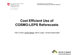 ppt - COSMO model