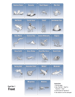 Card Set 1