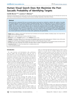 Human Visual Search Does Not Maximize the