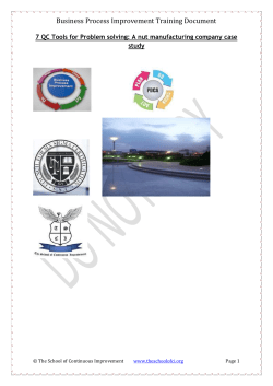 Business Process Improvement Training Document