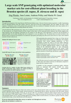 Large scale SNP genotyping with optimized molecular marker sets
