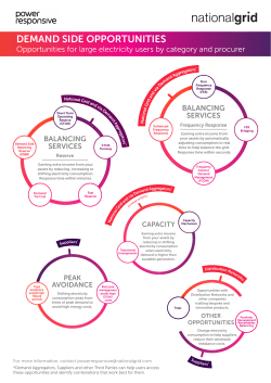 Demand Side Opportunities: Product Glossary