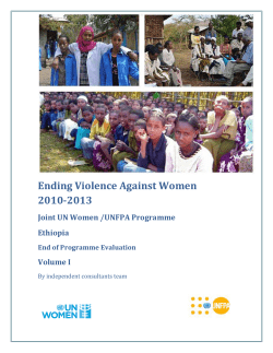 5. Joint Programme on Ending Violence Against