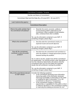 OGP Commitment Completion Template 2017