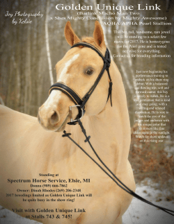 Golden Unique Link - Michigan Horse Expo