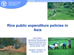 C3-Rice expenditures - Food and Agriculture Organization of the