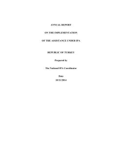 2013 IPA Annual Implementation Report