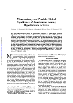 Microanatomy and Possible Clinical Significance of