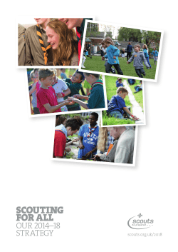 the full strategic plan