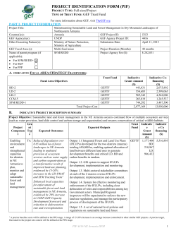 project identification form (pif)