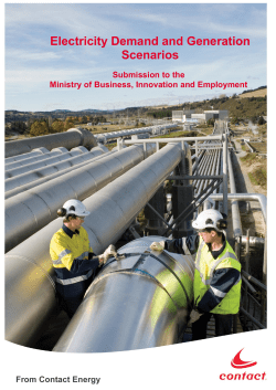 Electricity Demand and Generation Scenarios