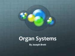 Organ Systems
