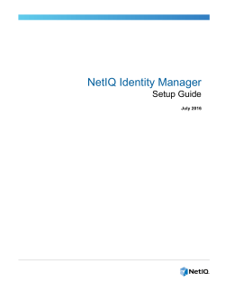 NetIQ Identity Manager Setup Guide