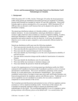 Economica Consultores Report on Distribution Tariffs