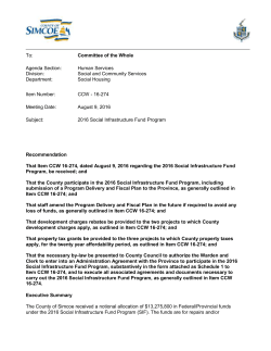 Council and Committee Report Template