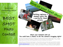 Photo Contest Poster - Birch Cove a Great Summer Village