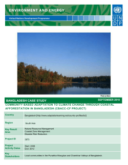 Bangladesh Case Study - Coastal Afforestation