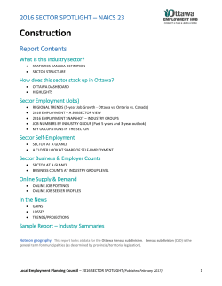 Sector Self-Employment (2016)