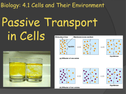 Biology: Chapter 4 Cells and Their Environment