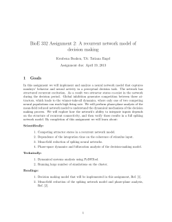 BioE 332 Assignment 2: A recurrent network model of decision making