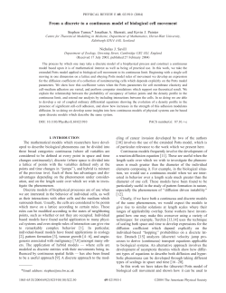 From a discrete to a continuous model of biological cell movement