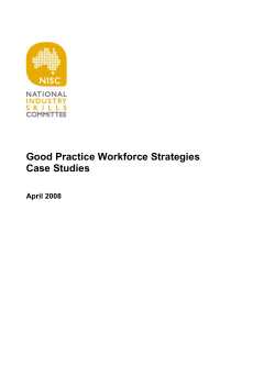 Good practice workforce strategies case studies guide