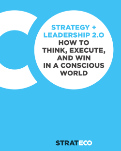 strategy + leadership 2.o how to think, execute, and win in a
