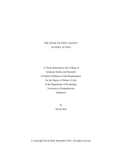 THE SENSE OF JOINT AGENCY IN JOINT ACTION A Thesis