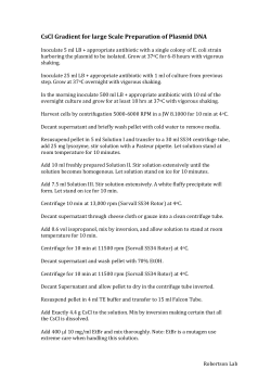 CsCl Gradient for large Scale Preparation of Plasmid DNA