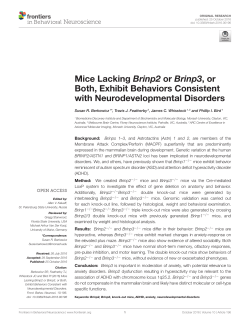 Mice Lacking Brinp2 or Brinp3, or Both, Exhibit Behaviors Consistent