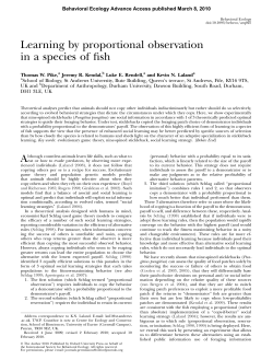 Learning by proportional observation in a species of fish