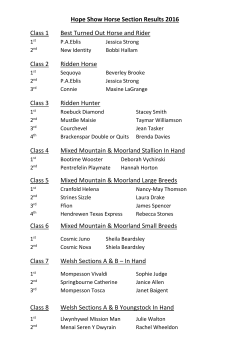 Hope Show Horse Section Results 2016 Class 1 Best Turned Out