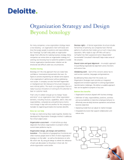 Organization Strategy and Design the report